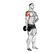 Dumbbell Lateral Raise demo
