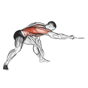 Cable Face Pull demo