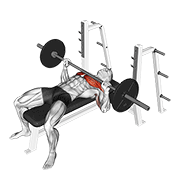 Barbell Bench Press demo